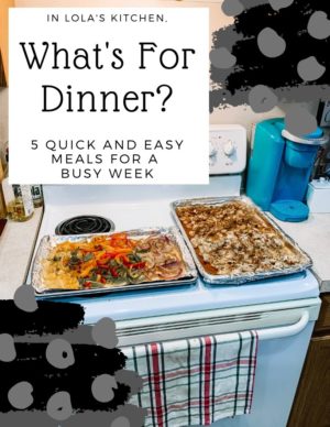 Quick Family Dinner Ideas - Lola Nicole